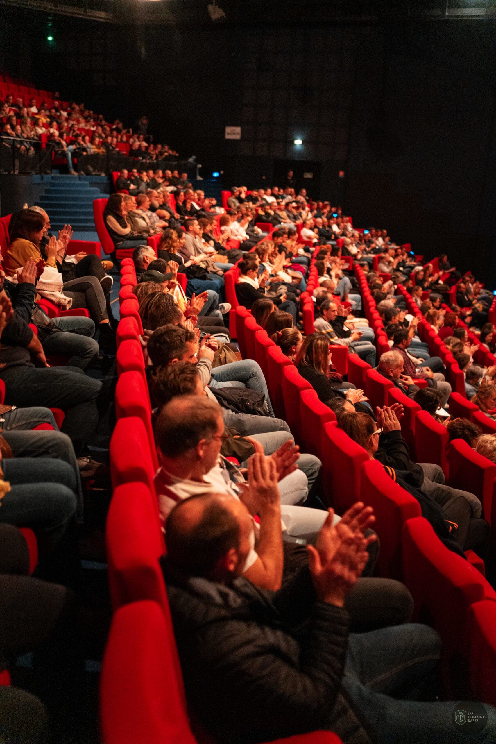 Public dans une salle de spectacle