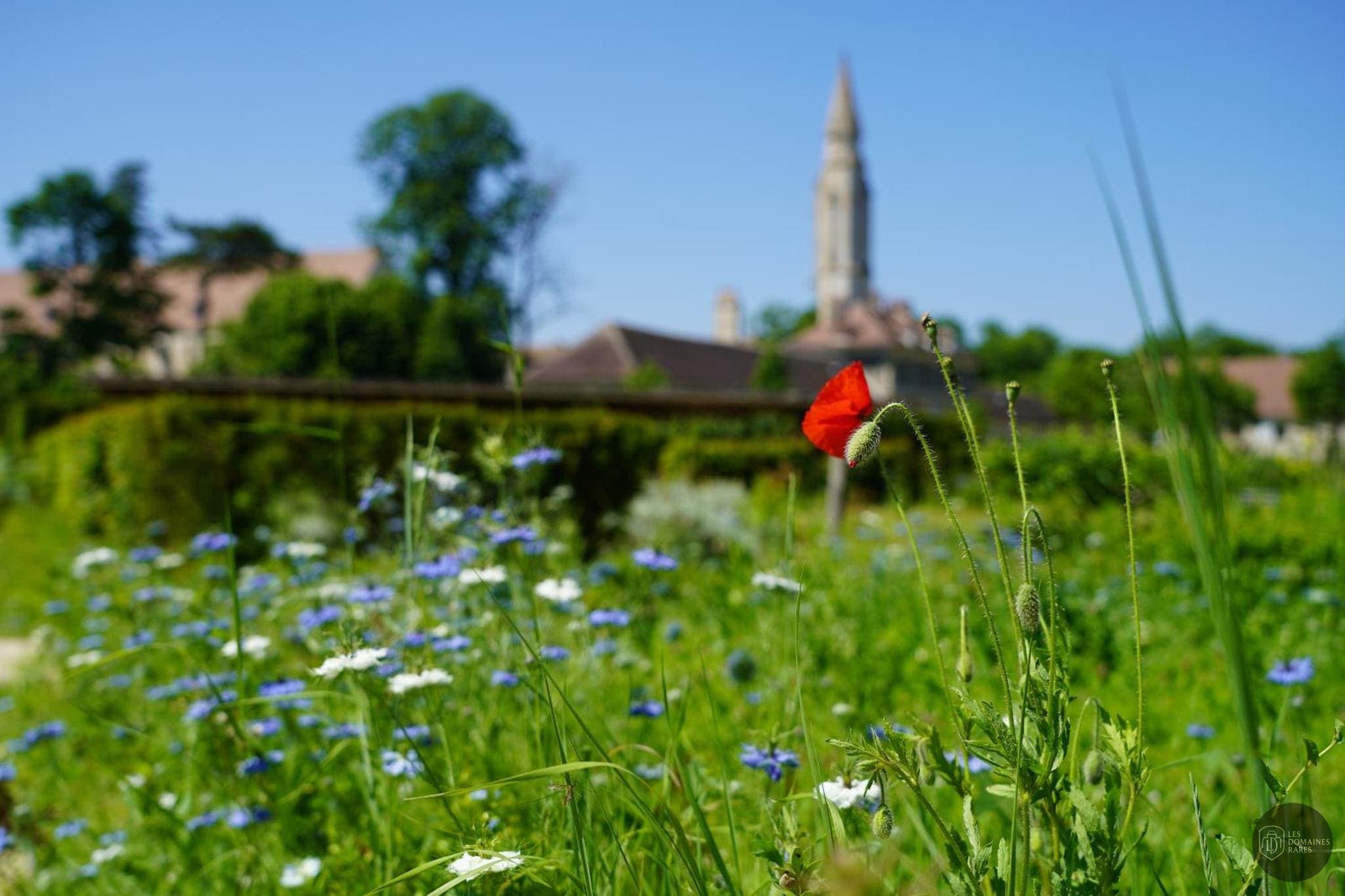 Vue extérieure de l'abbaye Abbaye de Royaumont en Île-de-France