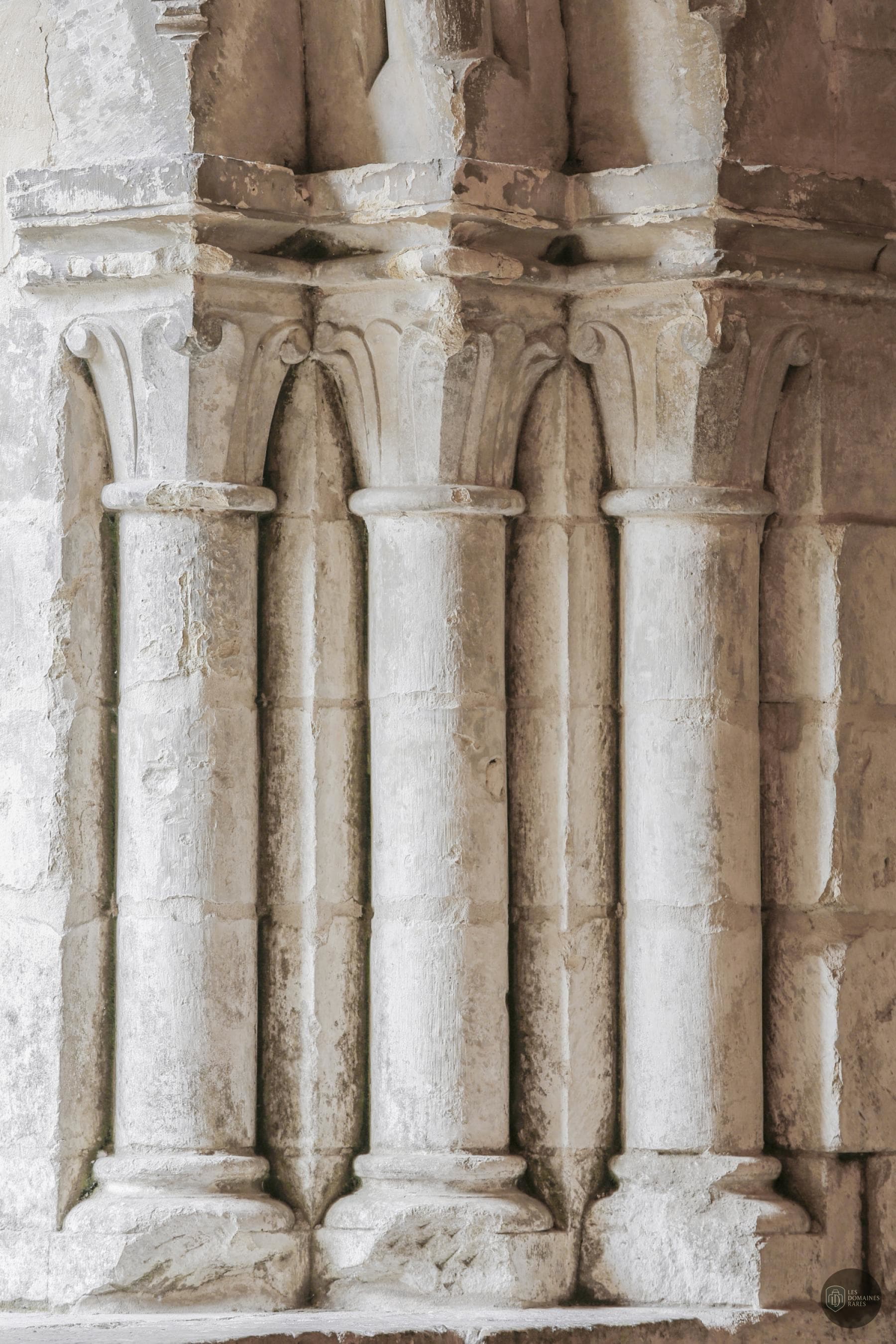 Abbaye de Vaucelles