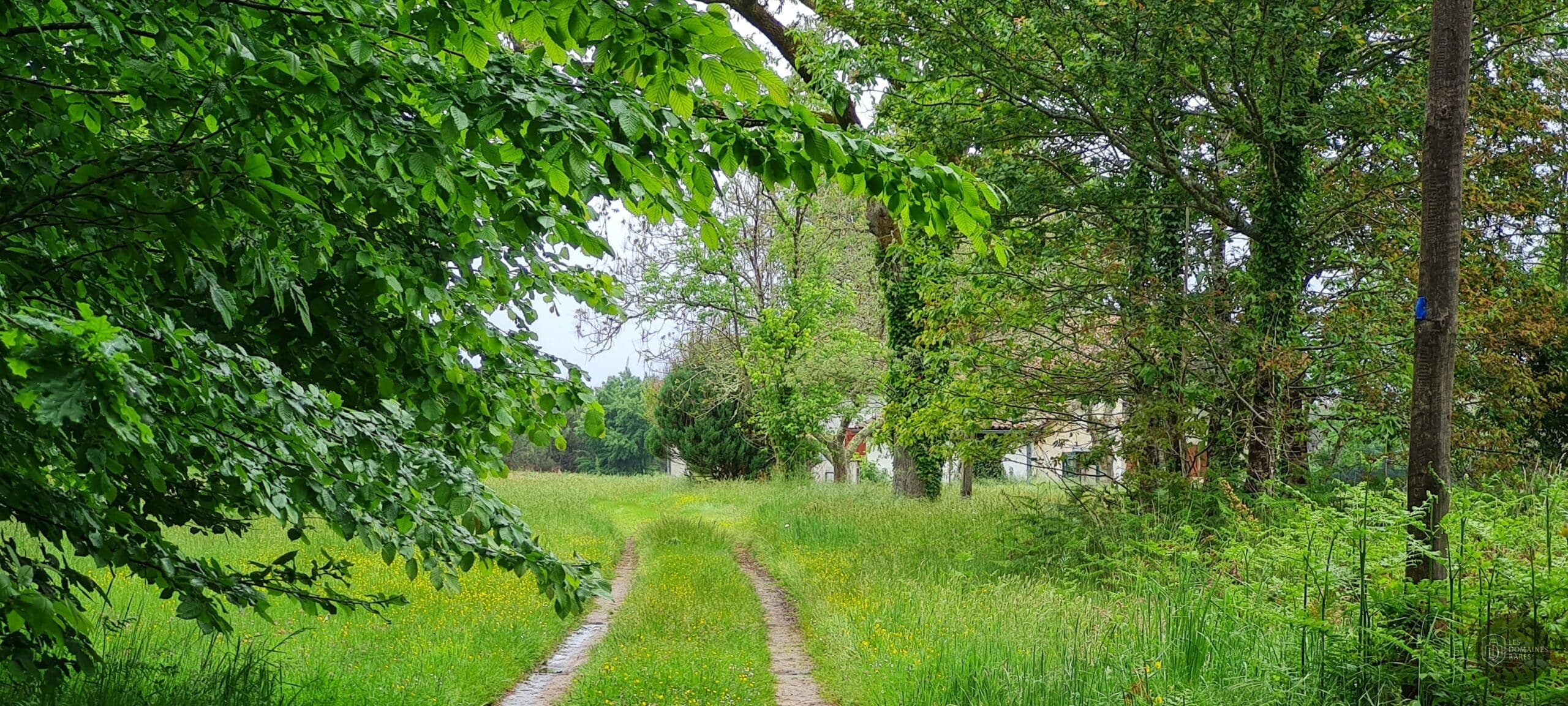 Vue extérieure du domaine Airial de Lachayre en Nouvelle-Aquitaine