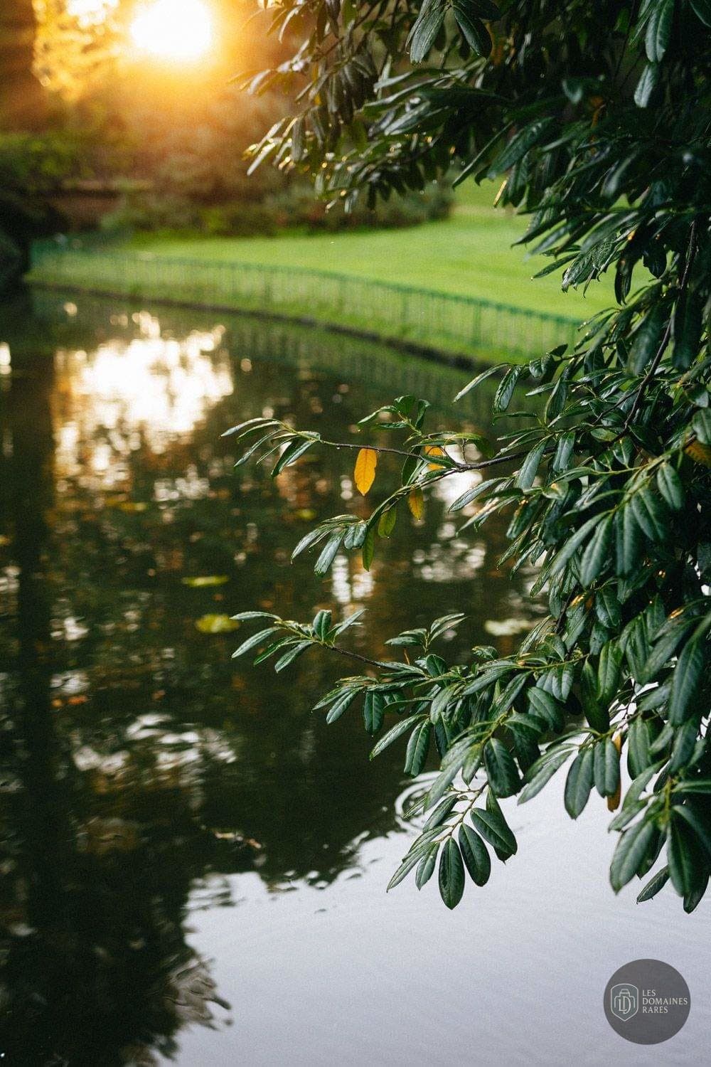 Le parc et son étang