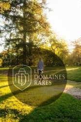 Personne marchant dans le parc verdoyant