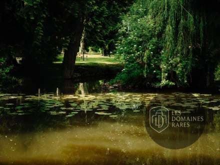Étang dans le parc de l'hôtel