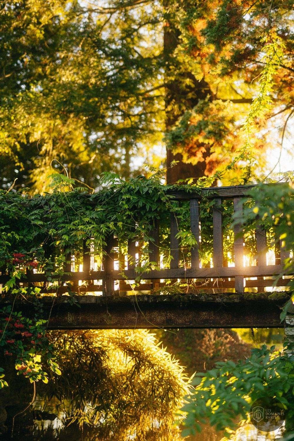 Petit pont dans le jardin