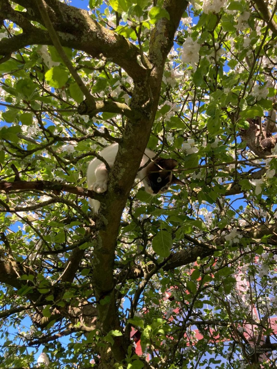 Vue extérieure du lieu Au Cochon Qui Rit à Hardifort en Hauts-de-France