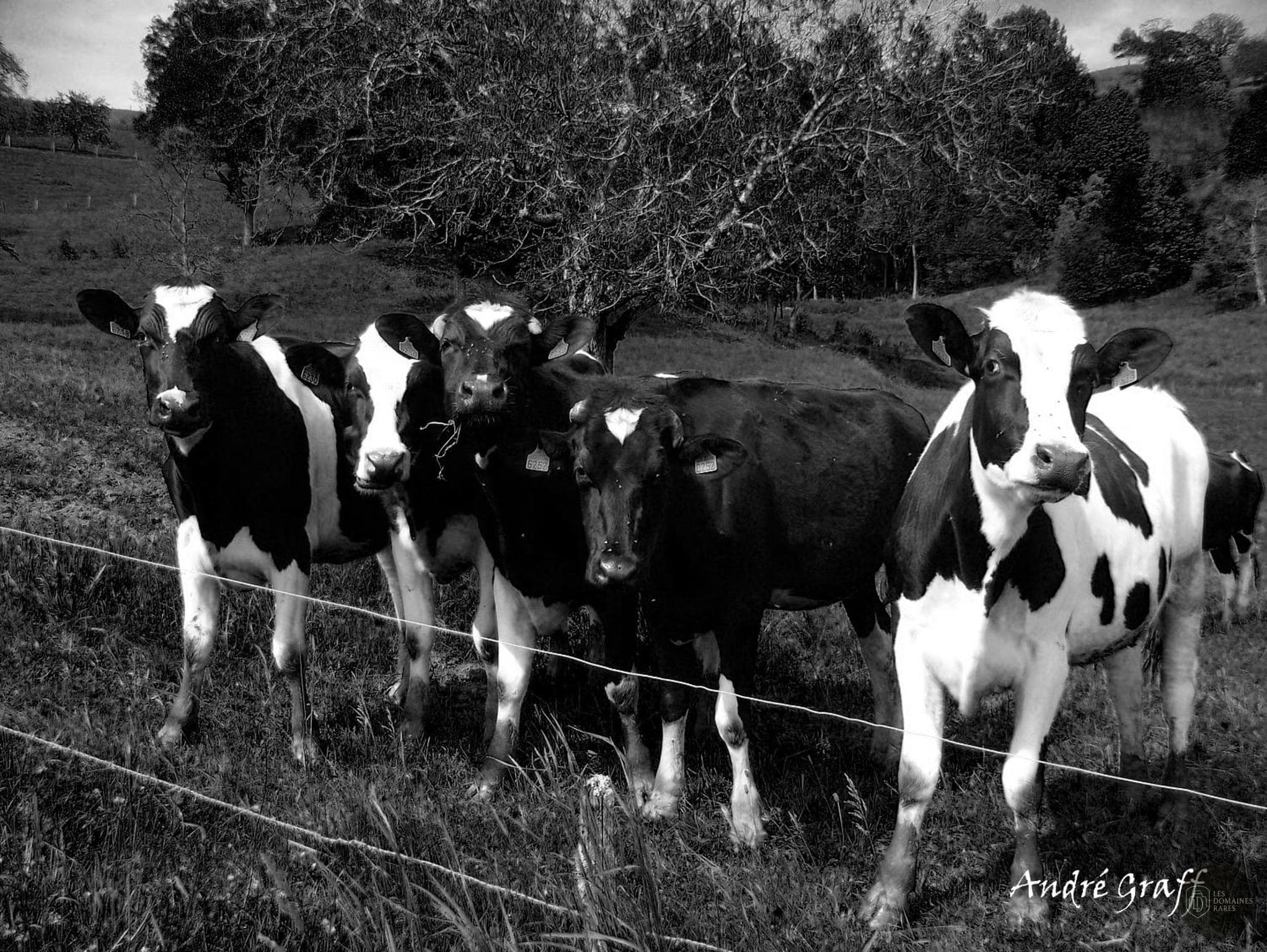 Vue extérieure de la ferme Au Pois Gourmand à Toulouse en Occitanie