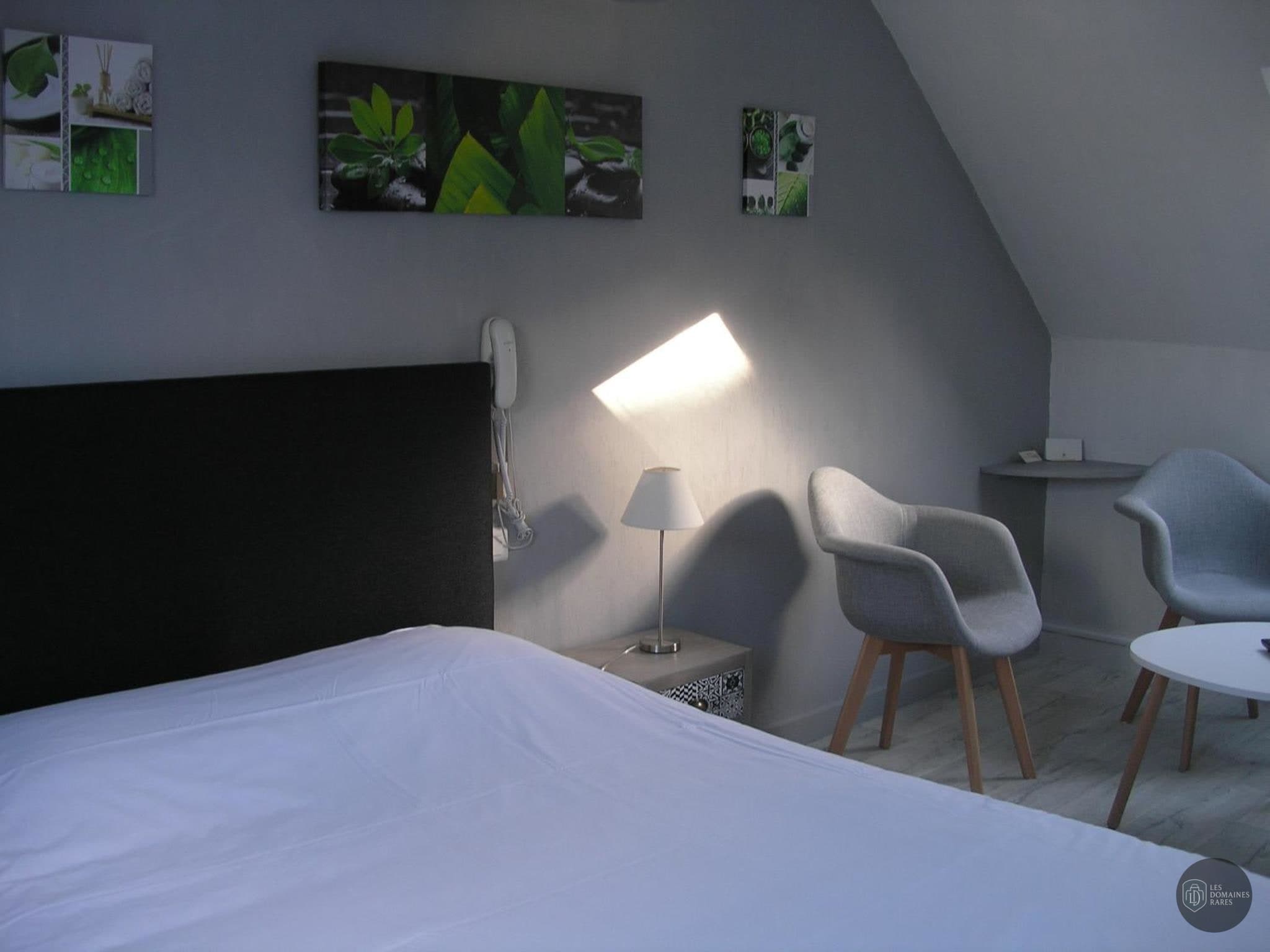 Chambre de l'auberge Auberge du Zoo à Mulhouse en Grand Est - séminaire haut-rhin (68)