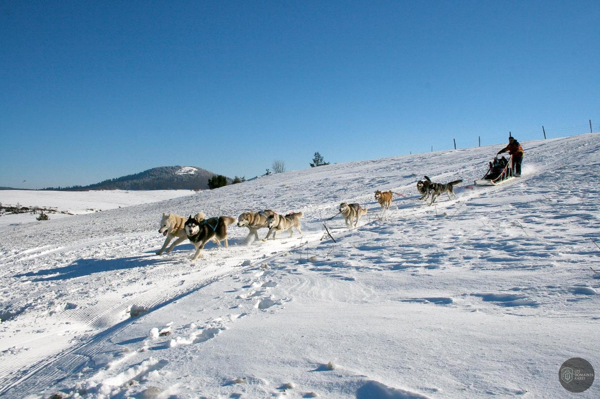 Vue extérieure du lieu Azureva Murol en Auvergne-Rhône-Alpes