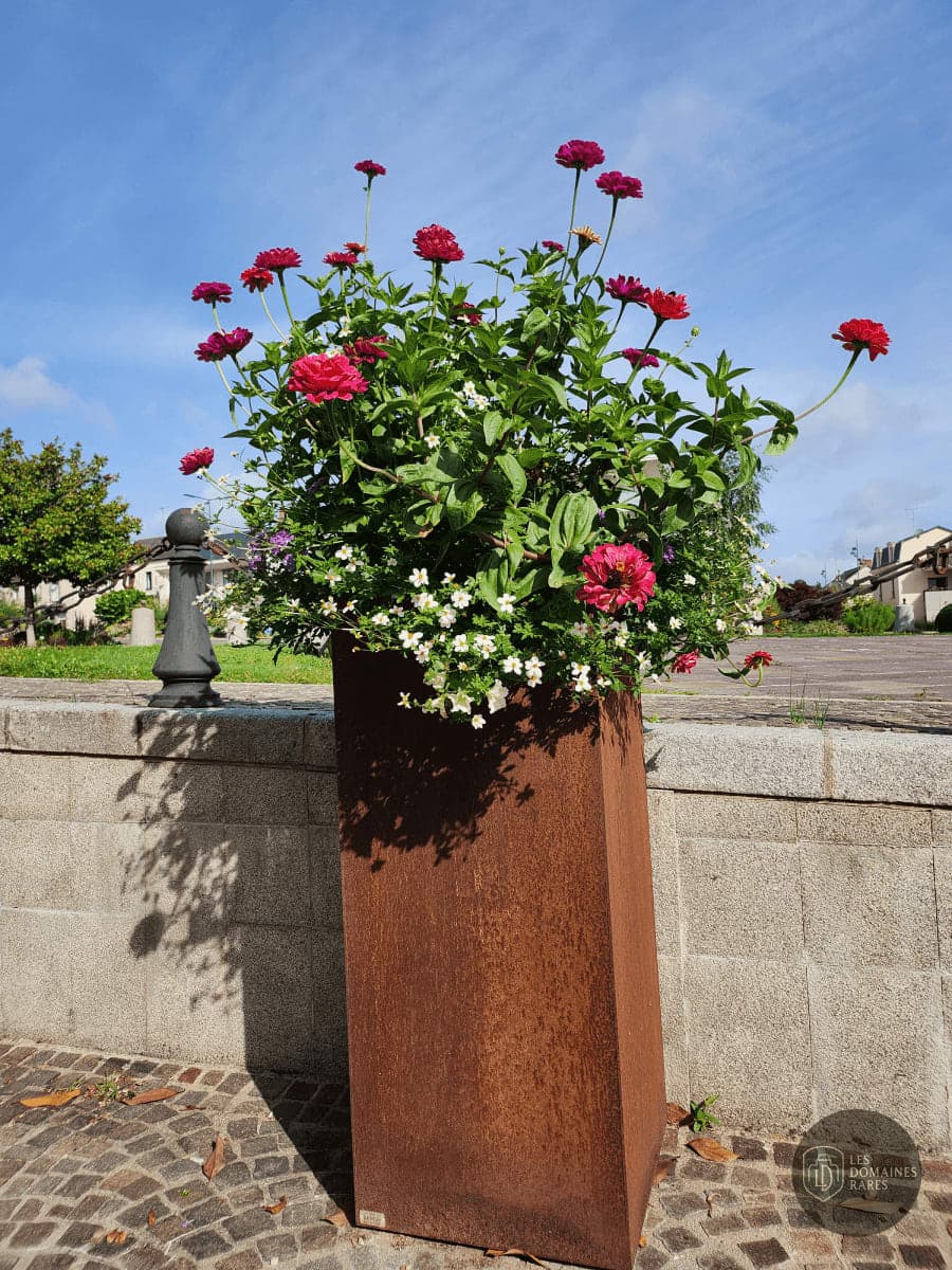 Pot de fleurs et aménagement urbain
