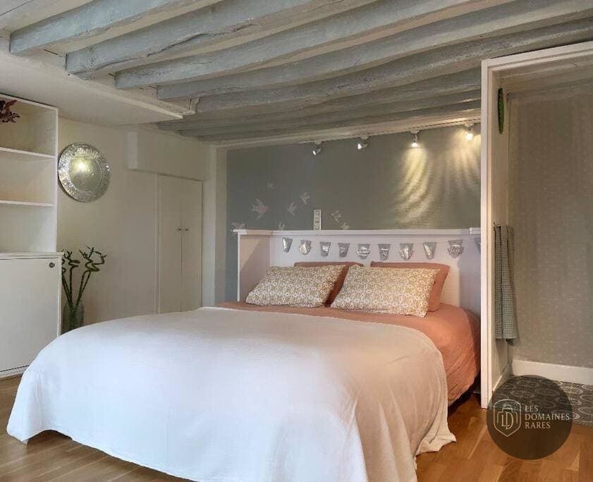 Chambre du lieu Beau Coco Lyon à Lyon en Auvergne-Rhône-Alpes - séminaire rhône (69)