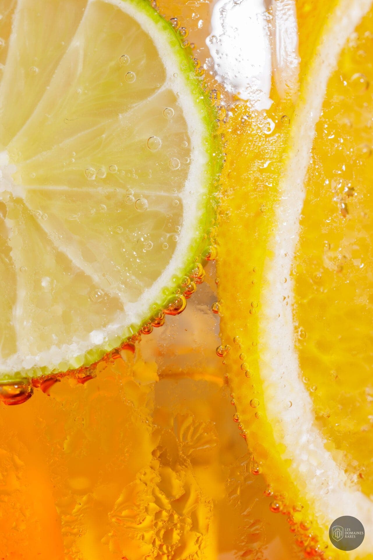Détail cocktail rafraîchissant agrumes