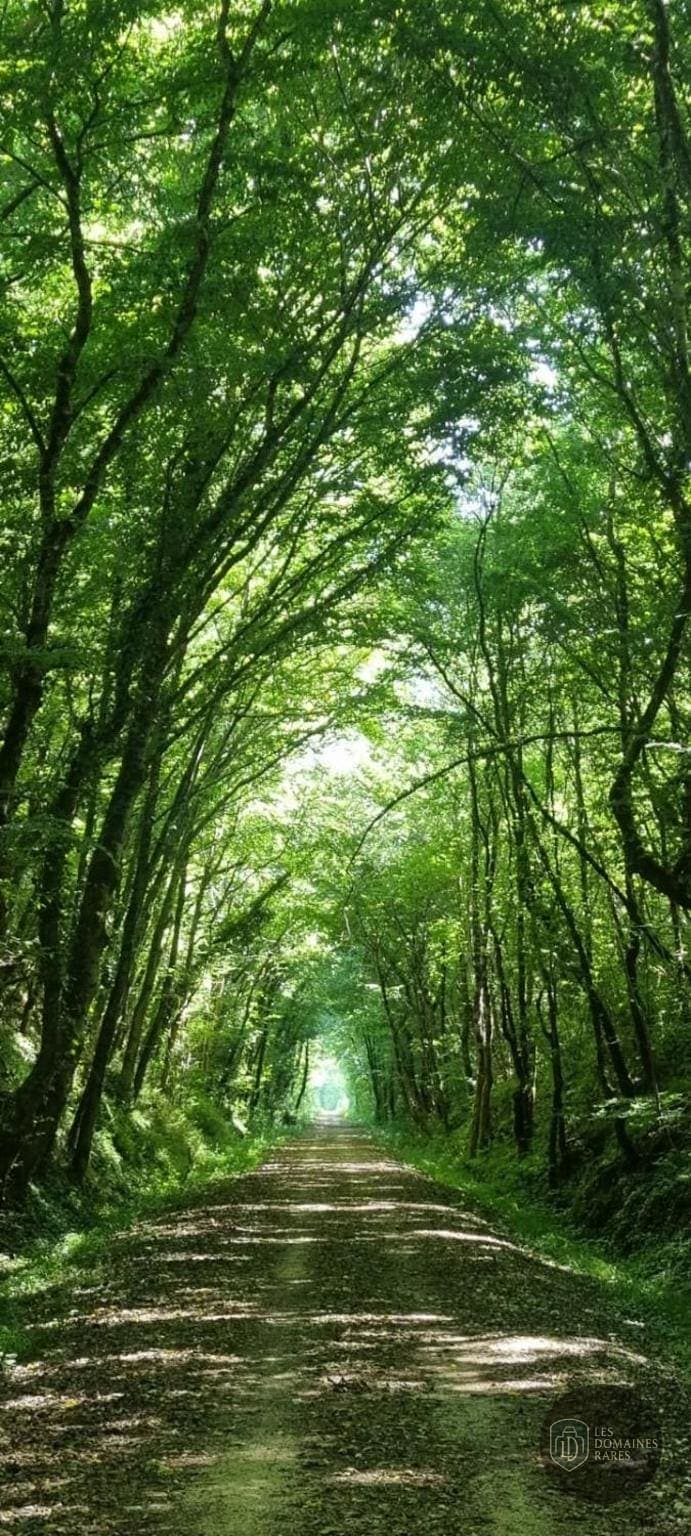 Vue extérieure du lieu Bistrot Carpe Diem à Bruz en Bretagne