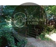 Petit pont dans le parc