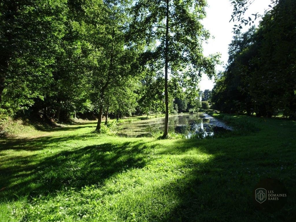 Parc avec étang