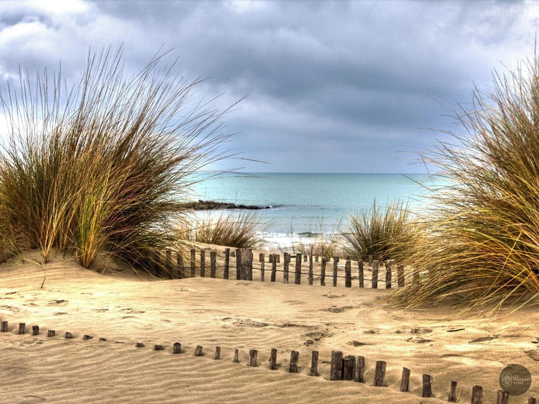 Vue du lieu Bleu Seine Le Dauphin en Île-de-France