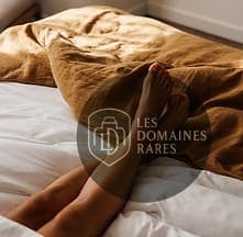 Chambre de l'hôtel Bome Hotel à Bordeaux en Nouvelle-Aquitaine - séminaire gironde