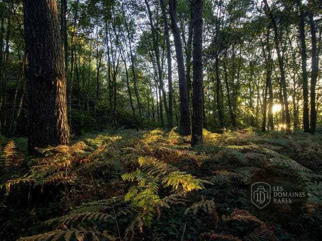 Vue extérieure du lieu Brasserie Jules à Amiens en Hauts-de-France