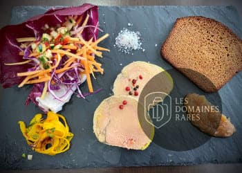 Restaurant du lieu Brasserie de la Repentie à Magné en Nouvelle-Aquitaine