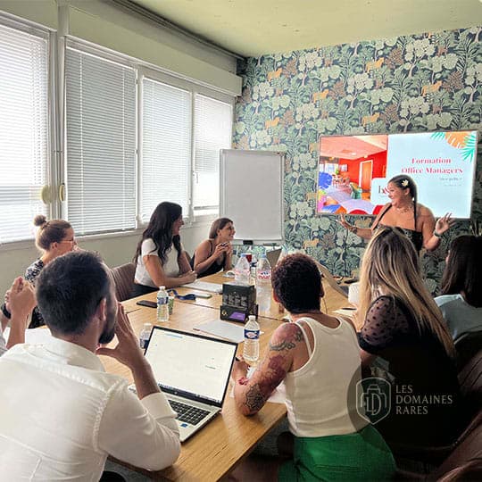 Salle de réunion 2 de l'espace de coworking Bureaux and Co à Lattes en Occitanie