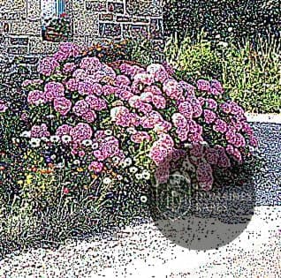 Vue extérieure du lieu CFC Locations à Le en Centre-Val de Loire
