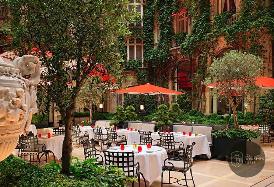 Terrasse verdoyante du restaurant