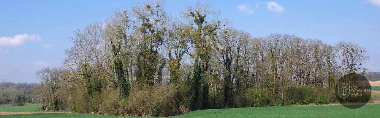 Vue extérieure de l'hôtel Campanile Roissy en Île-de-France
