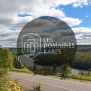 Route avec vue sur un lac