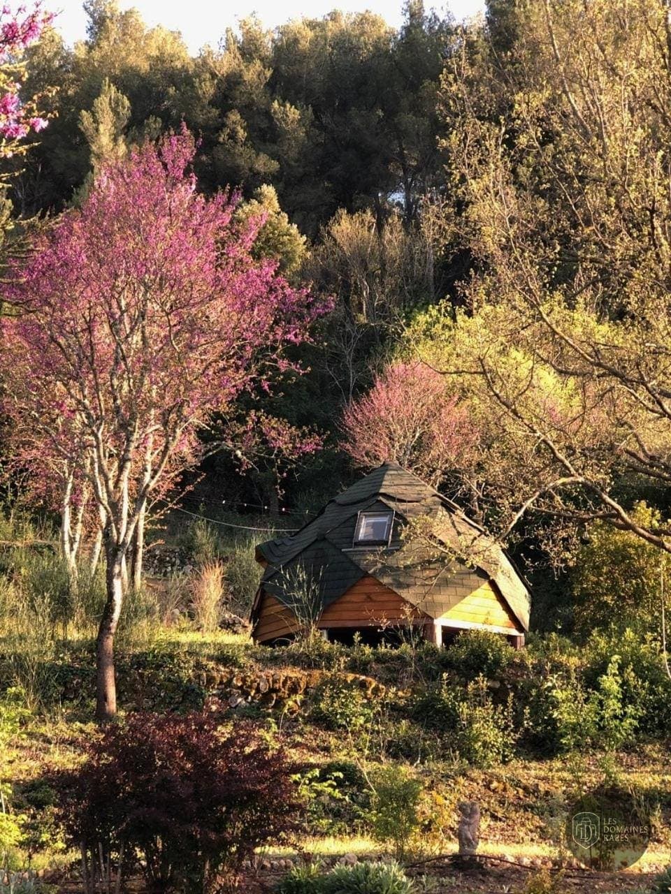 Vue du lieu Castel du Pont d'Oly en Nouvelle-Aquitaine