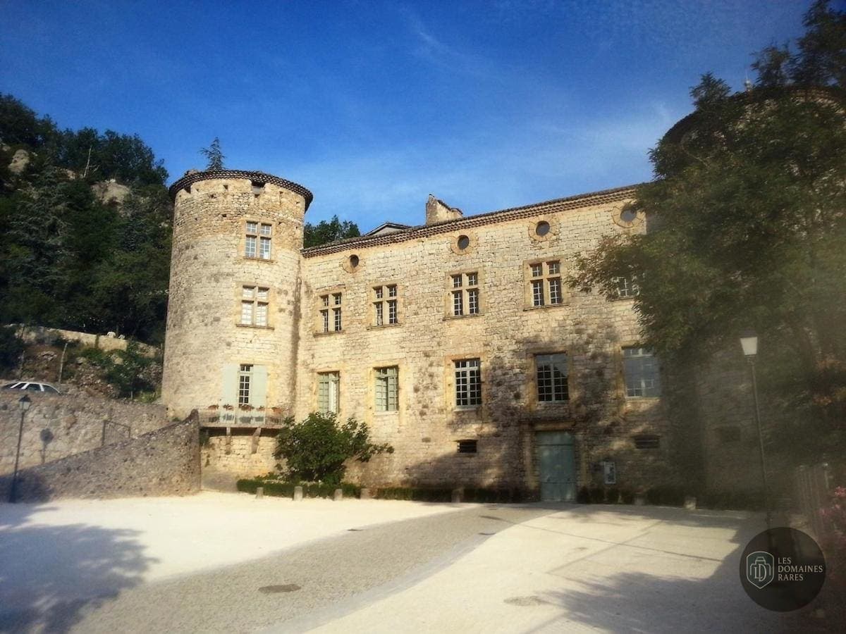 Vue du lieu Cave des Bernardins à Paris en Île-de-France