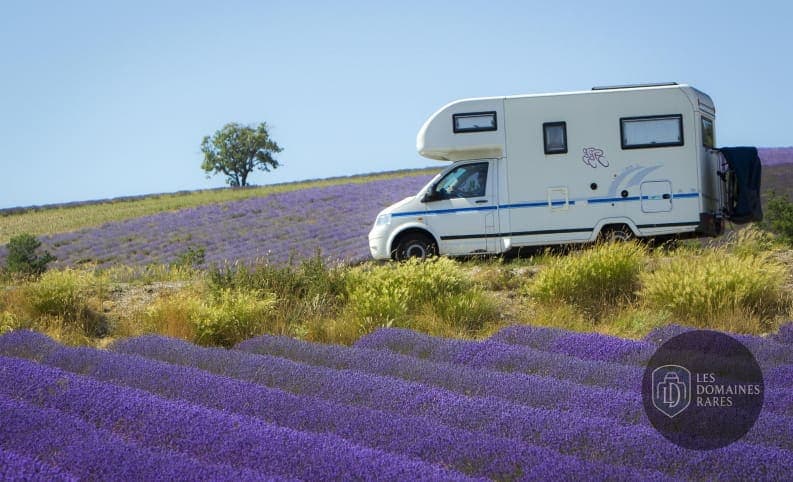 Camping-car dans un champ de lavande
