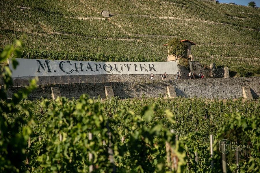 Vignoble Chapoutier, Hermitage