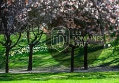 Parc paysager avec arbres en fleurs