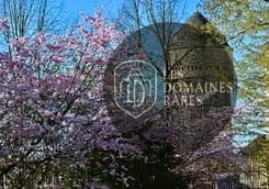 Tour et arbres en fleurs