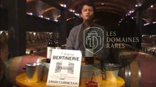 Vue du château Château Bertinerie à Cubnezais en Nouvelle-Aquitaine