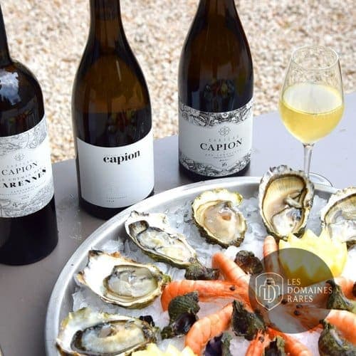 Restaurant du château Château Capion à Aniane en Occitanie - séminaire aniane