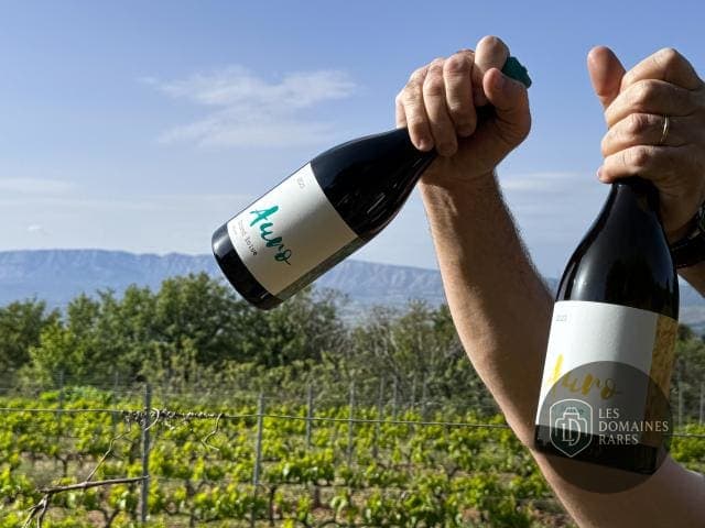Bouteilles de vin Auro du domaine