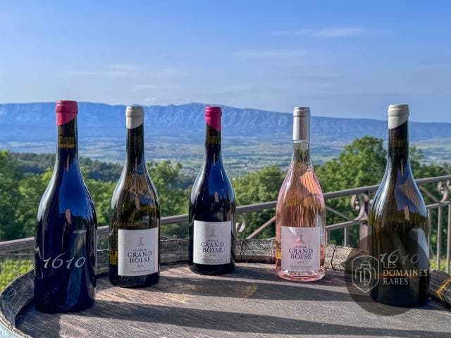 Gamme de vins Château Grand Boise