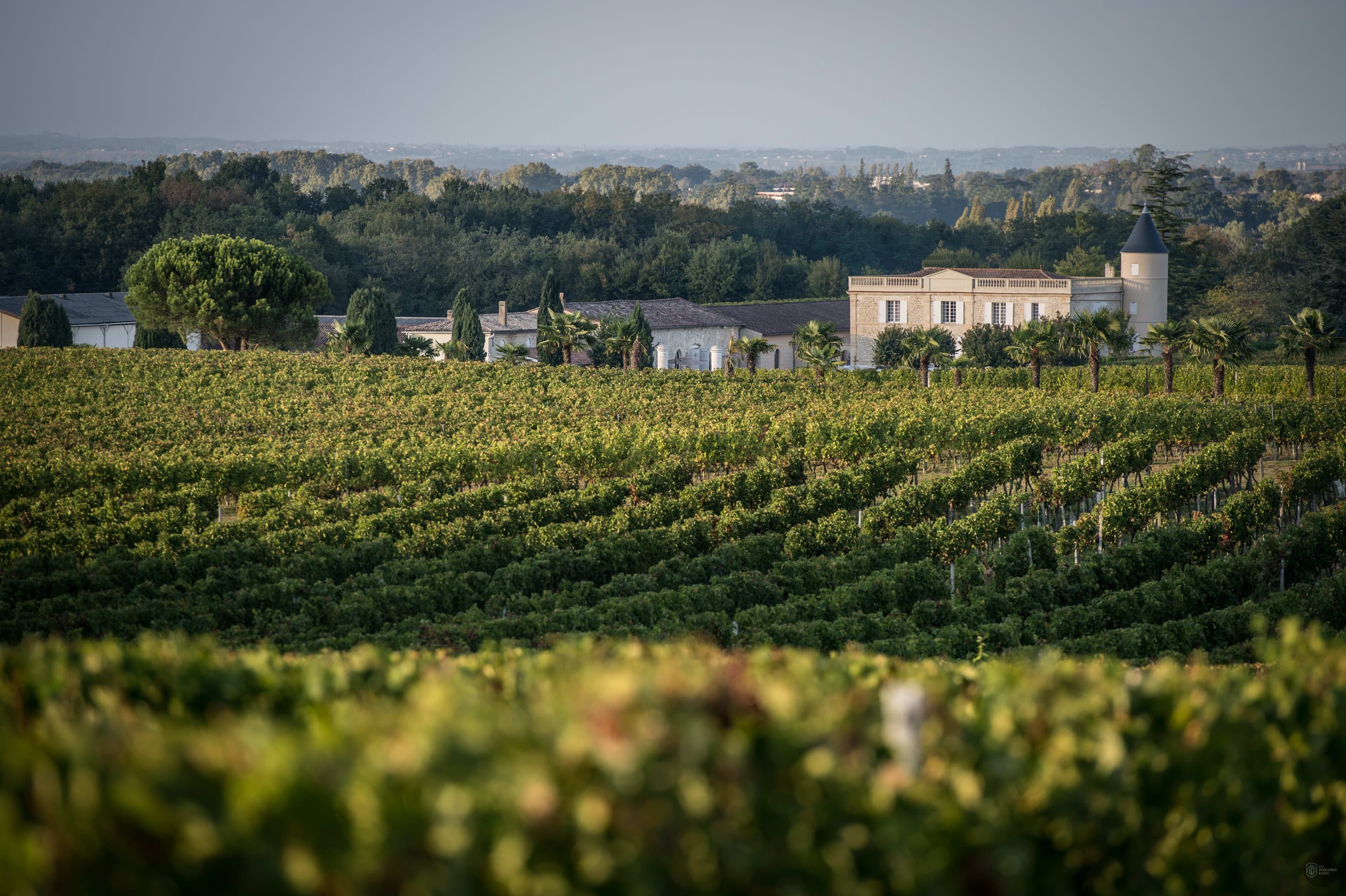 Vue extérieure du château Château Lafitte en Nouvelle-Aquitaine