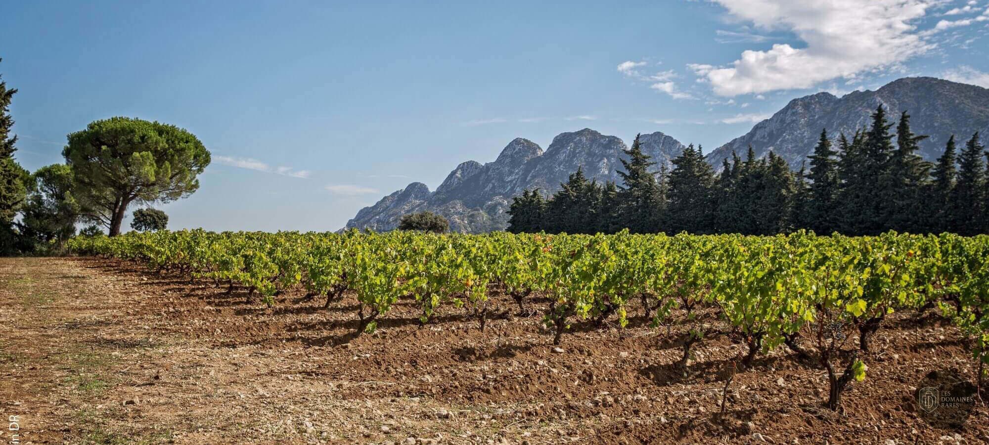 Vue extérieure du château Château Romanin en Provence-Alpes-Côte d'Azur