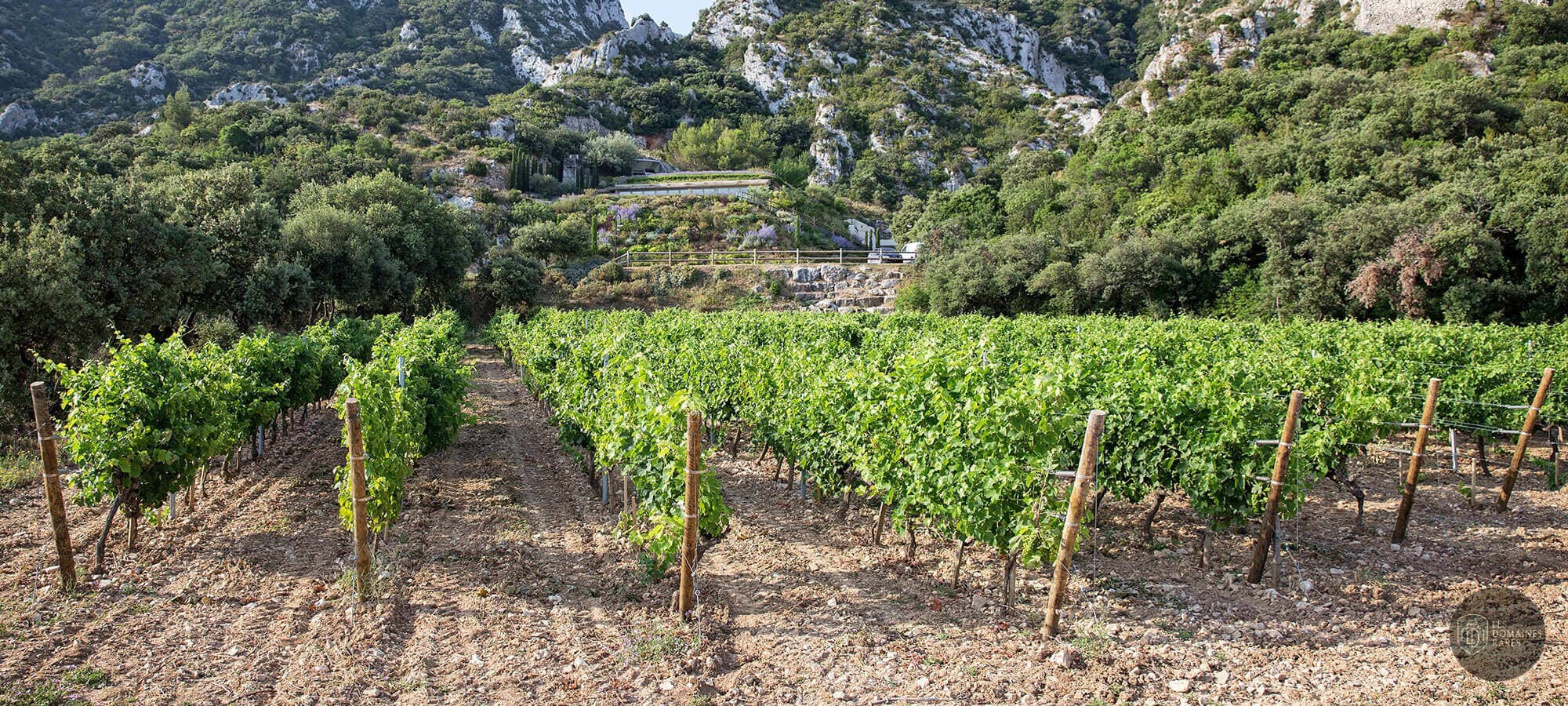 Vue extérieure du château Château Romanin en Provence-Alpes-Côte d'Azur