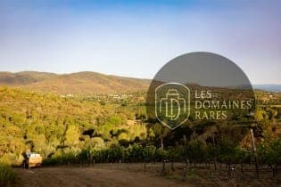 Vue extérieure du château Château Vaudois en Provence-Alpes-Côte d'Azur
