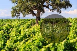 Vue extérieure du château Château Vaudois en Provence-Alpes-Côte d'Azur