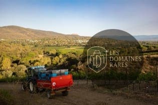 Vue extérieure du château Château Vaudois en Provence-Alpes-Côte d'Azur