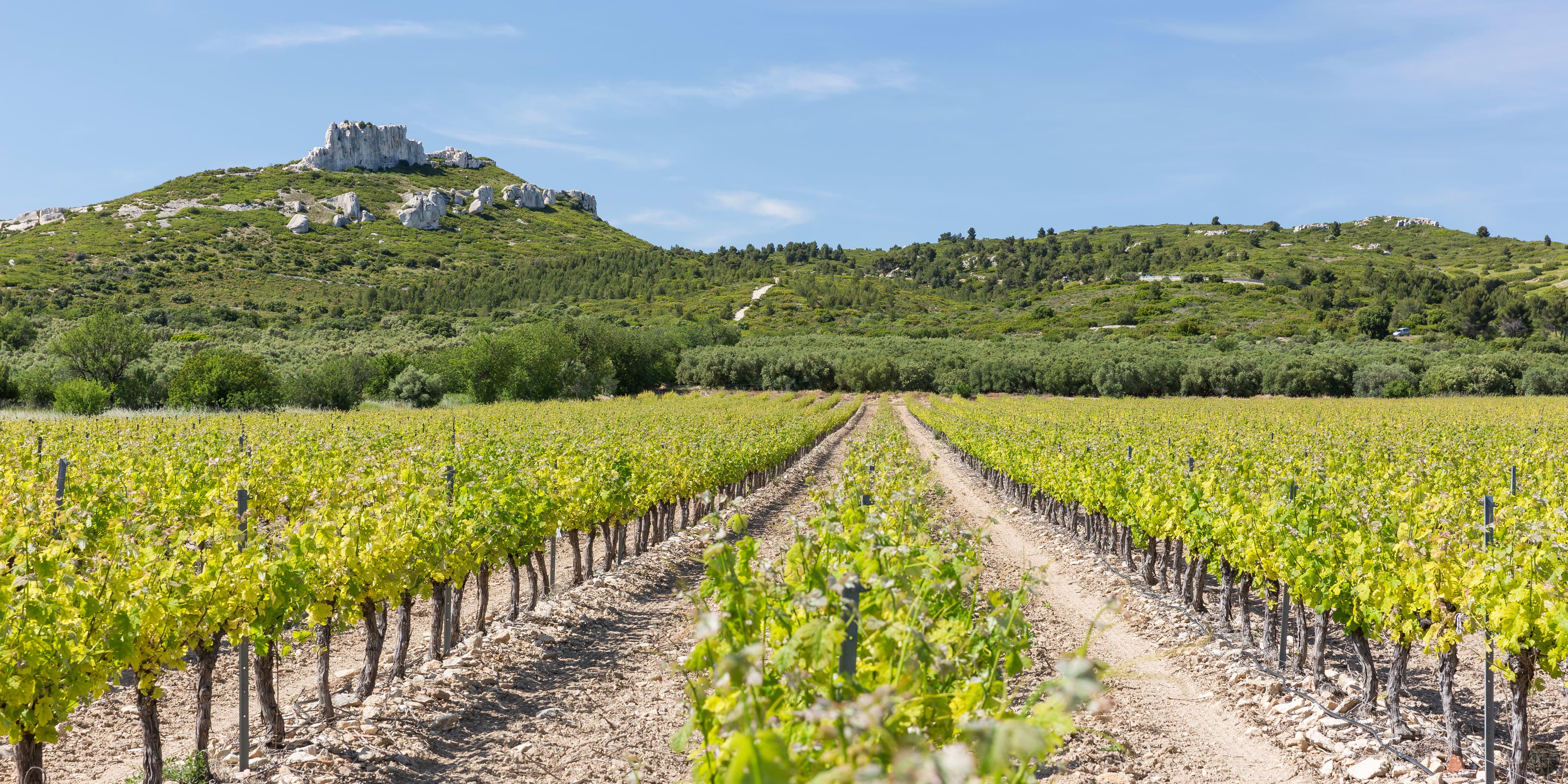 Vue extérieure du château Château Virant en Provence-Alpes-Côte d'Azur