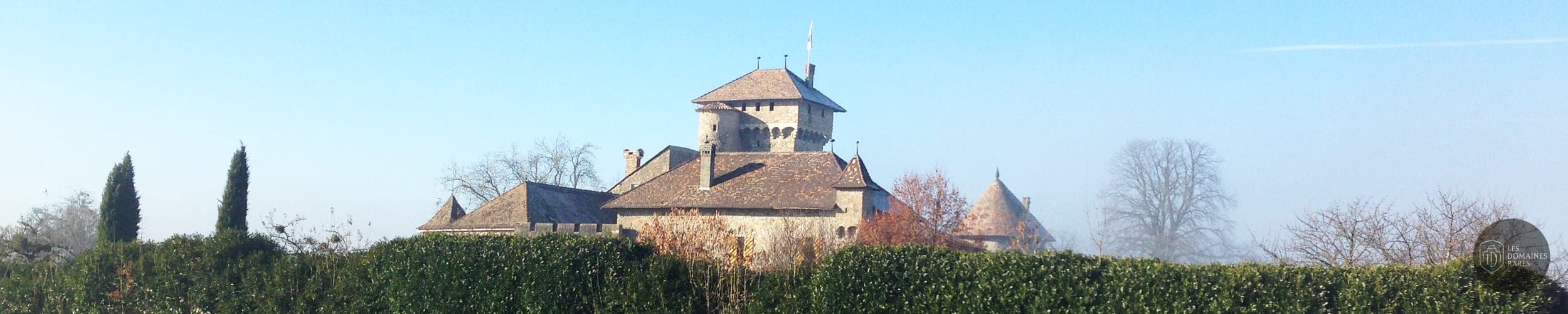 Vue extérieure du château Château d'Avully à Brenthonne en Auvergne-Rhône-Alpes