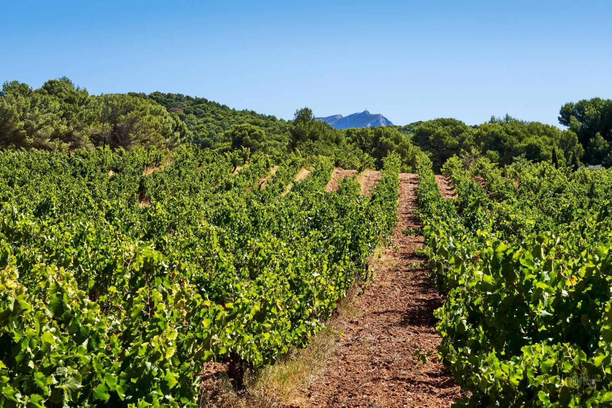 Vue du château Château de la Gaude en Provence-Alpes-Côte d'Azur