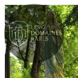 Vue extérieure du château Château des Lys en Hauts-de-France
