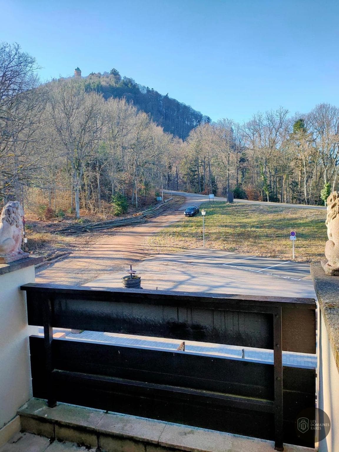 Vue du château Château du Lattay à Andouille en Pays de la Loire