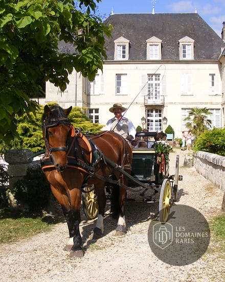 Château de Limé