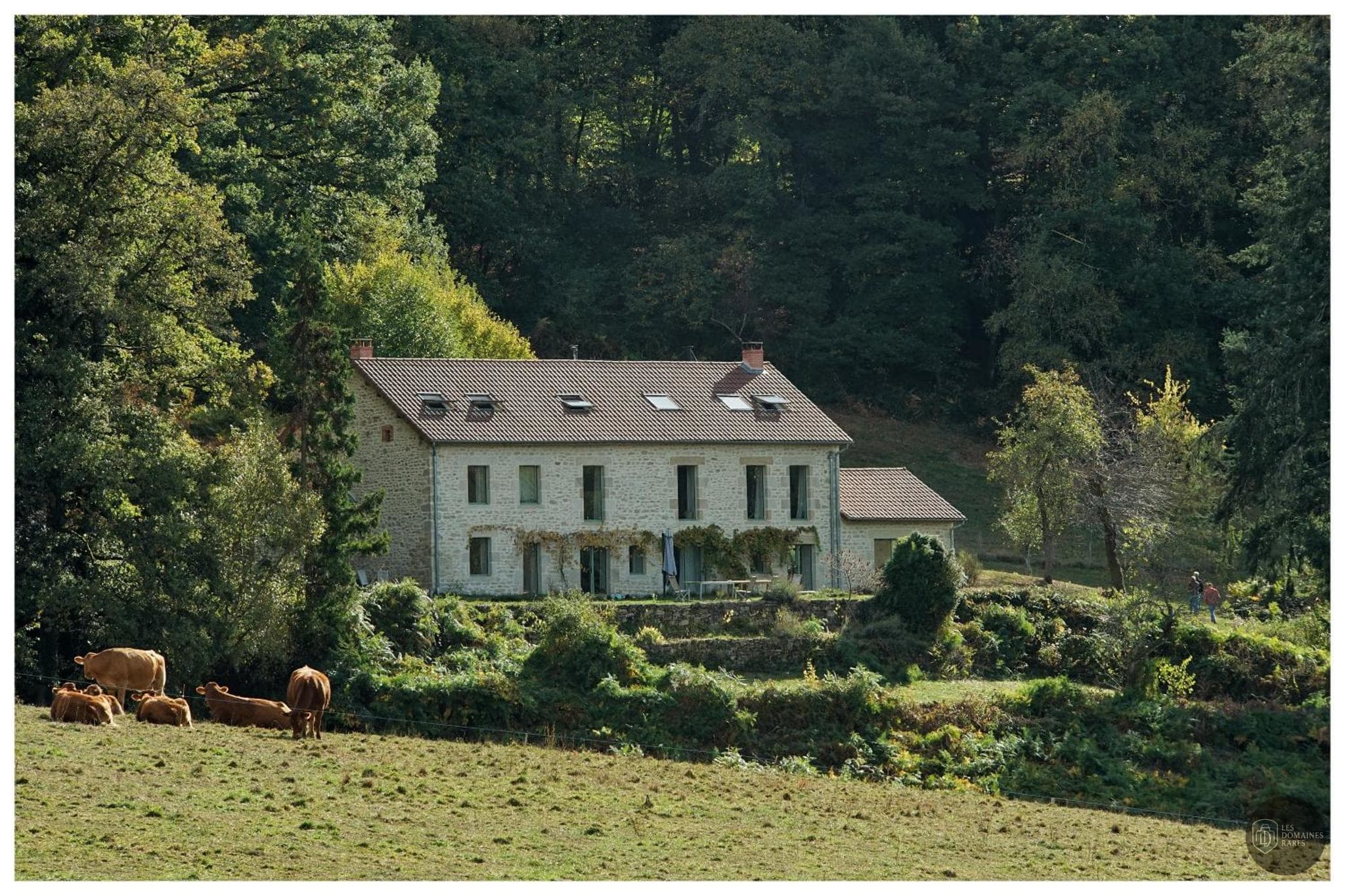 Vue extérieure du lieu Chalendeix à Nedde en Nouvelle-Aquitaine